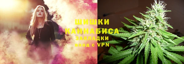 дурь Няндома