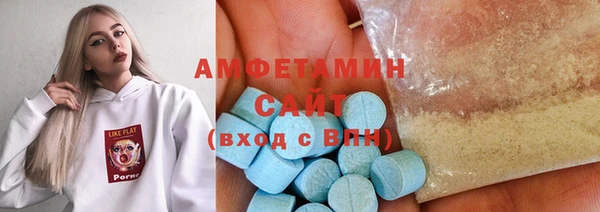 дурь Няндома