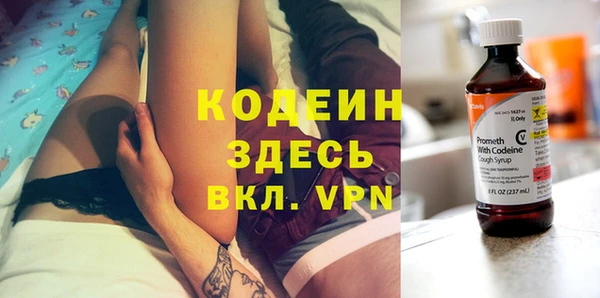 дурь Няндома