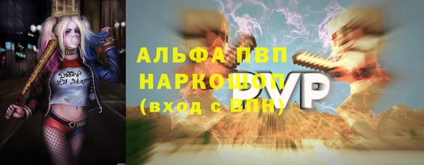 дурь Няндома