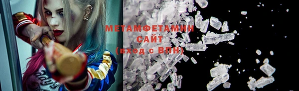 прущие грибы Нягань