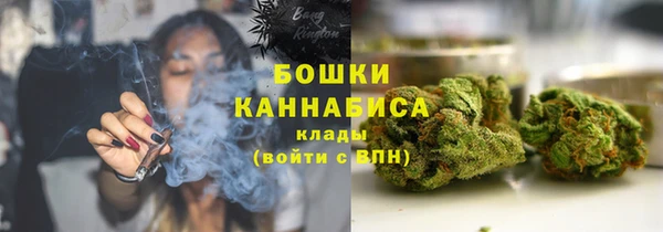 прущие грибы Нягань