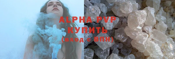 дурь Няндома