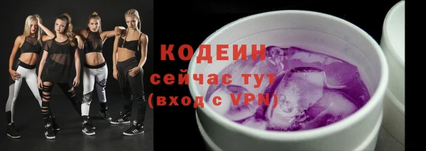 прущие грибы Нягань