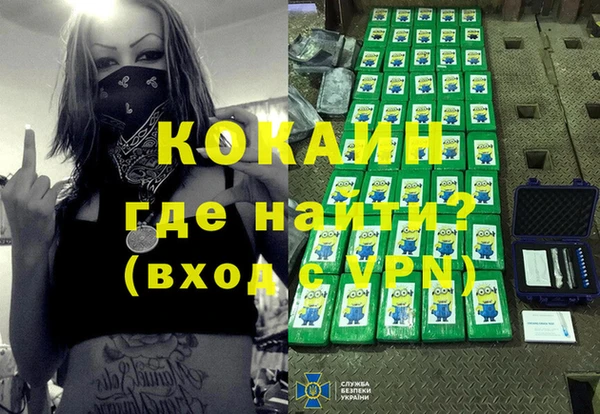 прущие грибы Нягань