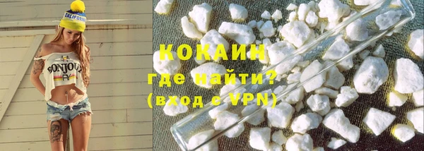 дурь Няндома