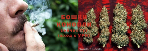прущие грибы Нягань