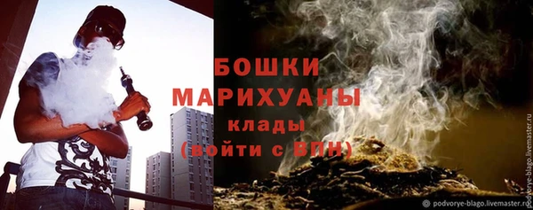 прущие грибы Нягань