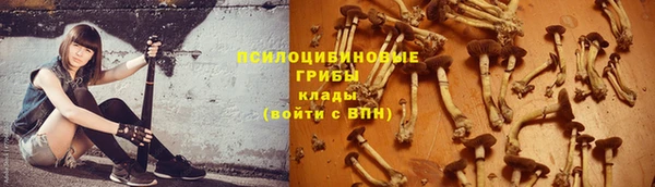 прущие грибы Нягань