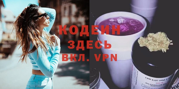 дурь Няндома