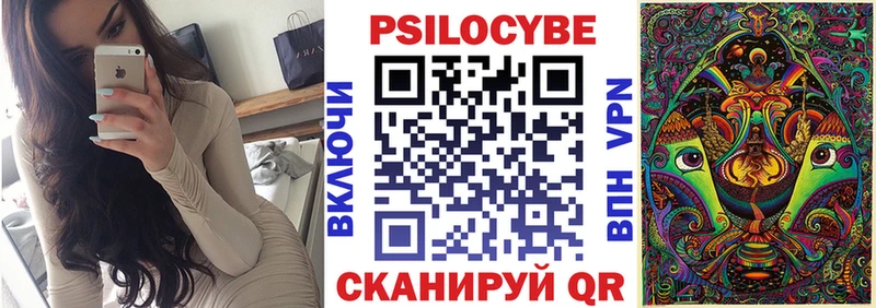 Купить закладки  Каменск-Уральский  Псилоцибиновые грибы Cubensis 